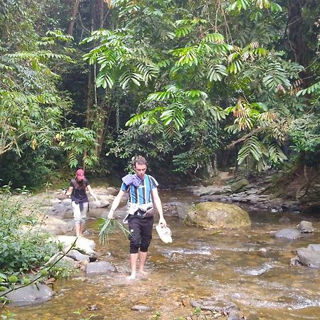 Pongo Guest House & Jungle Trekking Bukit Lawang Luaran gambar