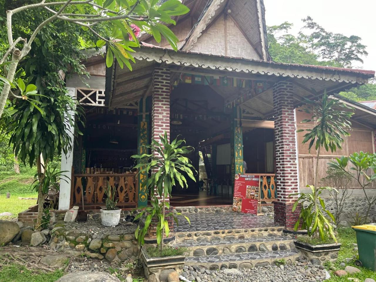 Pongo Guest House & Jungle Trekking Bukit Lawang Luaran gambar