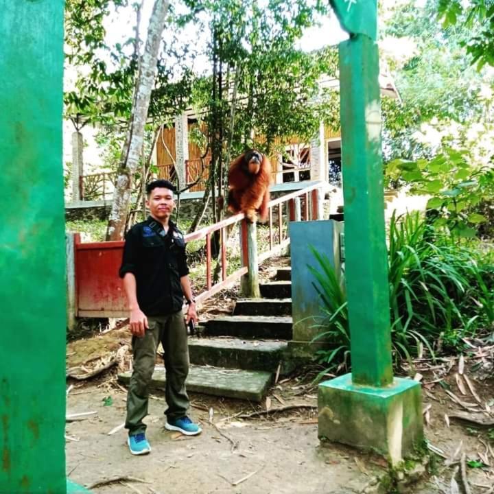 Pongo Guest House & Jungle Trekking Bukit Lawang Luaran gambar