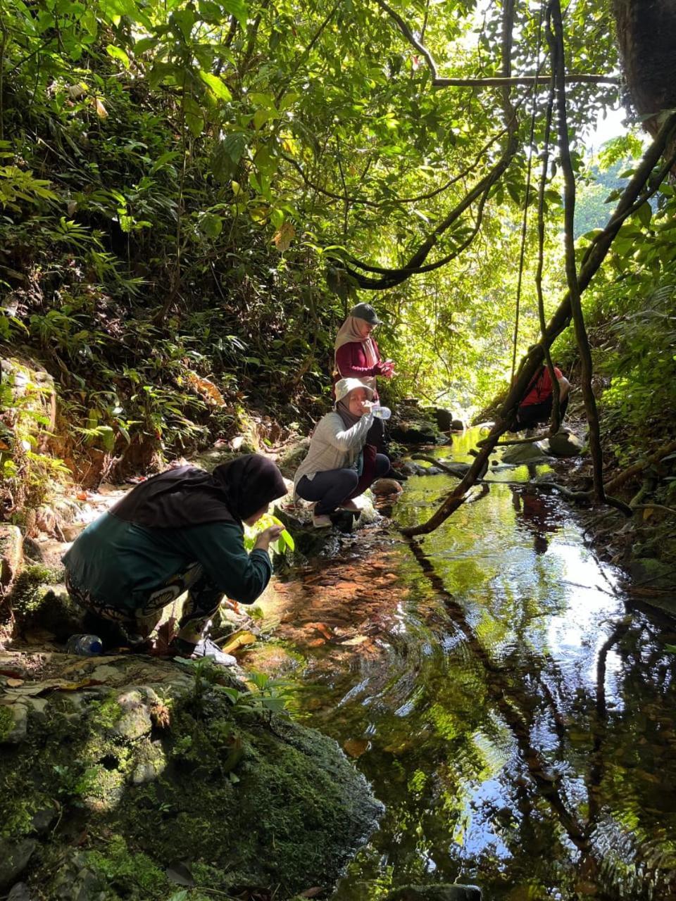 Pongo Guest House & Jungle Trekking Bukit Lawang Luaran gambar