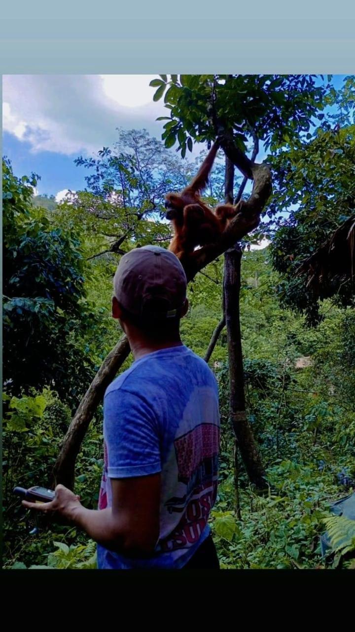 Pongo Guest House & Jungle Trekking Bukit Lawang Luaran gambar