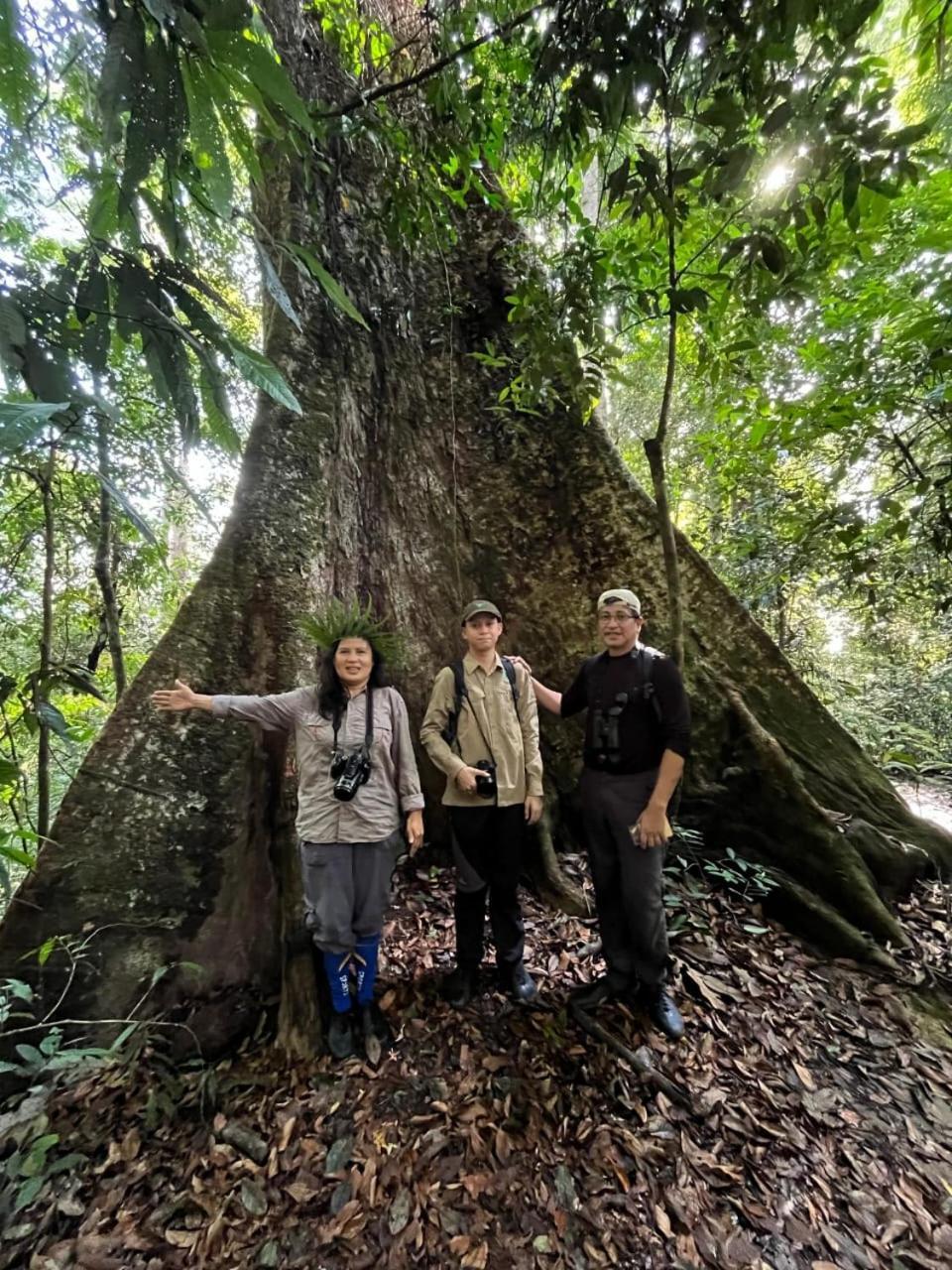 Pongo Guest House & Jungle Trekking Bukit Lawang Luaran gambar
