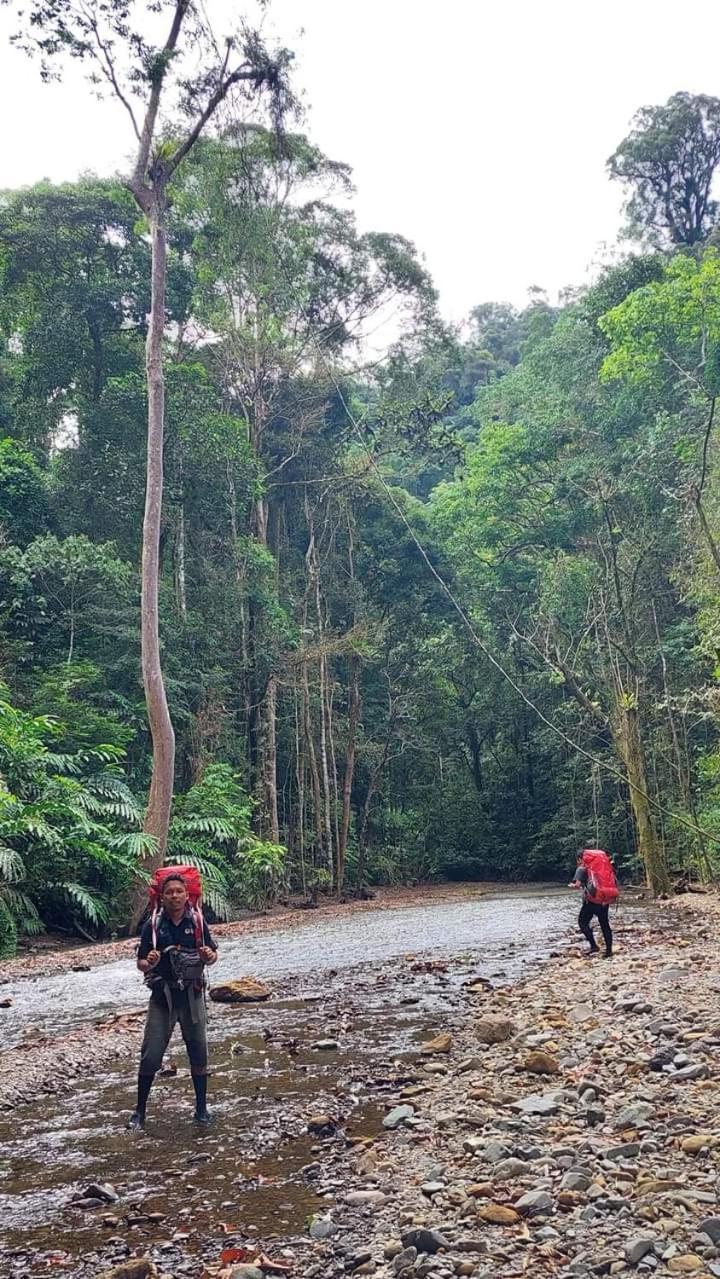 Pongo Guest House & Jungle Trekking Bukit Lawang Luaran gambar