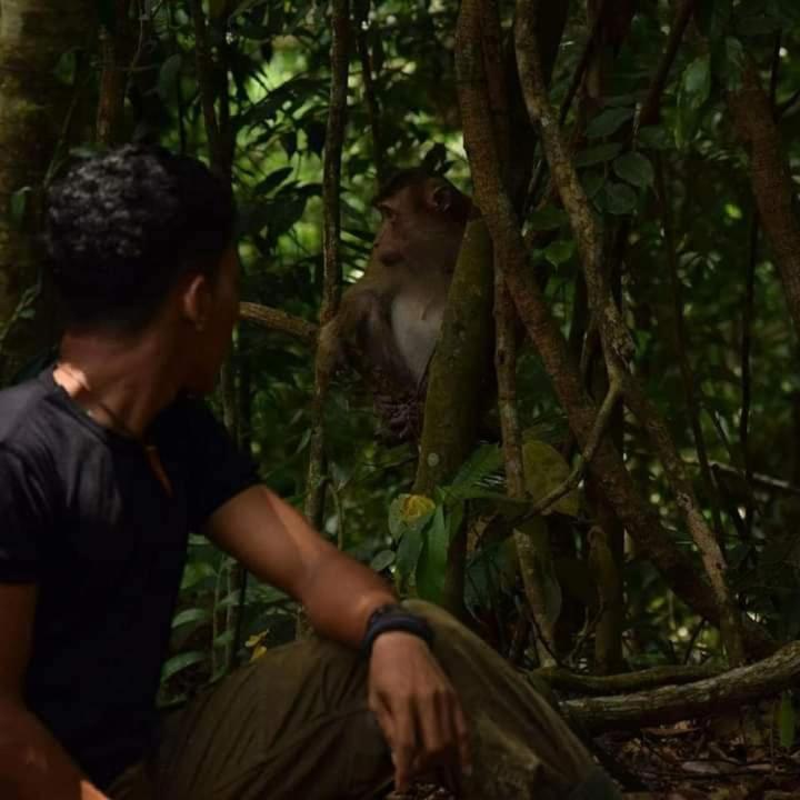 Pongo Guest House & Jungle Trekking Bukit Lawang Luaran gambar
