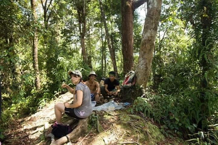 Pongo Guest House & Jungle Trekking Bukit Lawang Luaran gambar