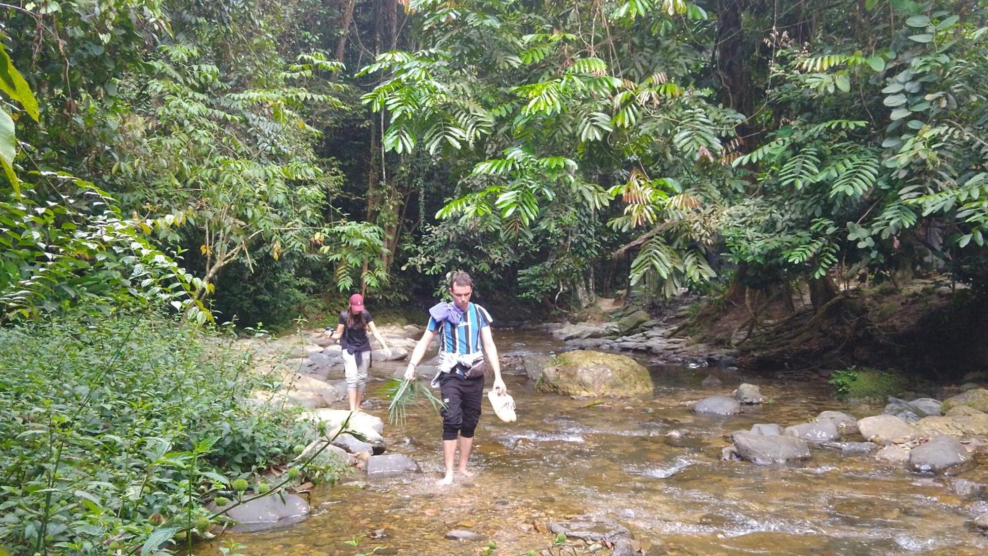 Pongo Guest House & Jungle Trekking Bukit Lawang Luaran gambar